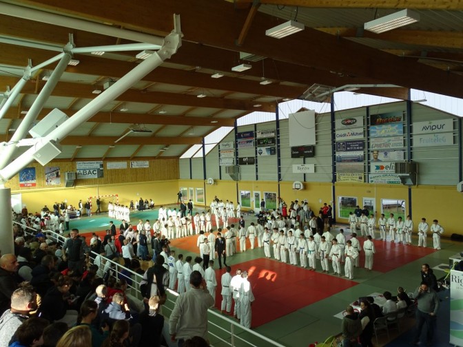 Image de l'actu '14ème OPEN DE JUDO DE RIORGES - 882 PARTICIPANTS !'